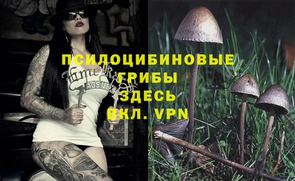марихуана Арсеньев