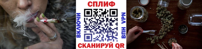 Бошки марихуана семена  магазин продажи наркотиков  Белокуриха 